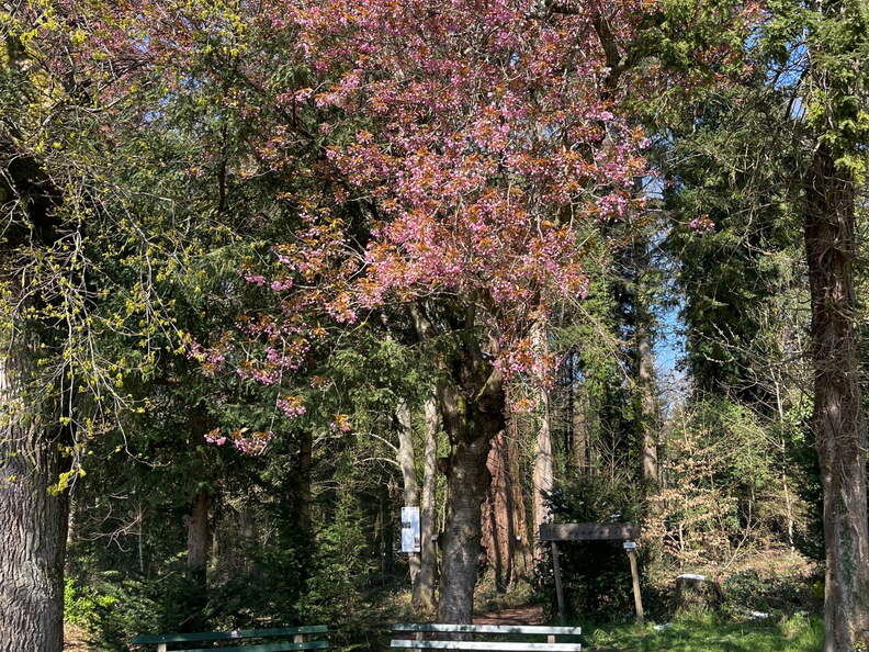 22-04-04 11-37-33 0354